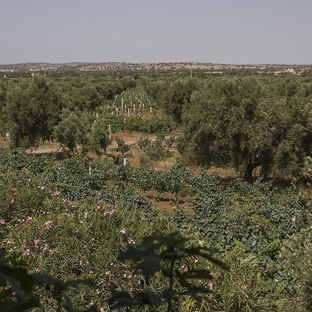 Ryad De Vignes " Le Val D'Argan " Ounara Esterno foto